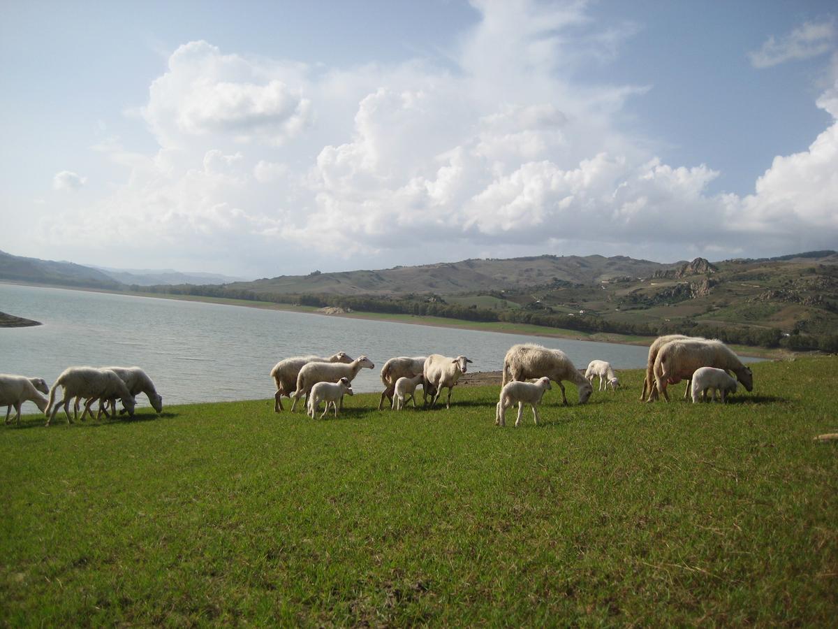 Oasi Del Lago Regalbuto Экстерьер фото
